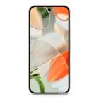 Google Pixel 9 12/256Gb