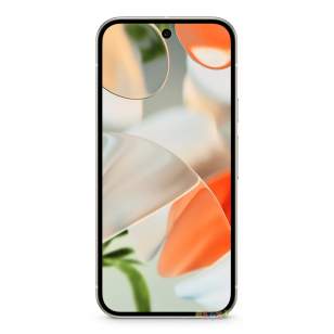 Google Pixel 9 12/128Gb