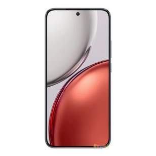Honor X9d 8/256Gb (международная версия)